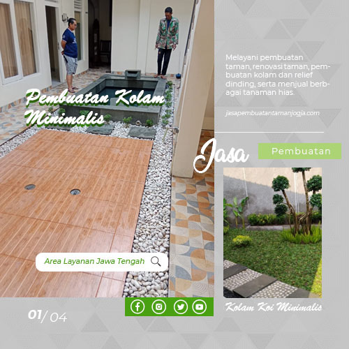 Pembuatan Kolam Koi Minimalis rev