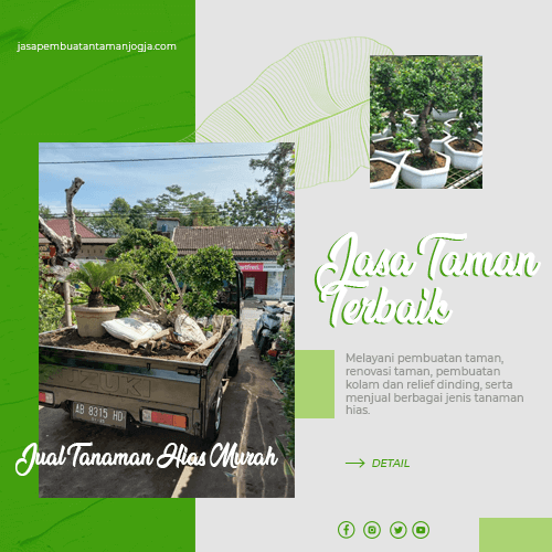 blog jasa pembuatan taman jogja 5