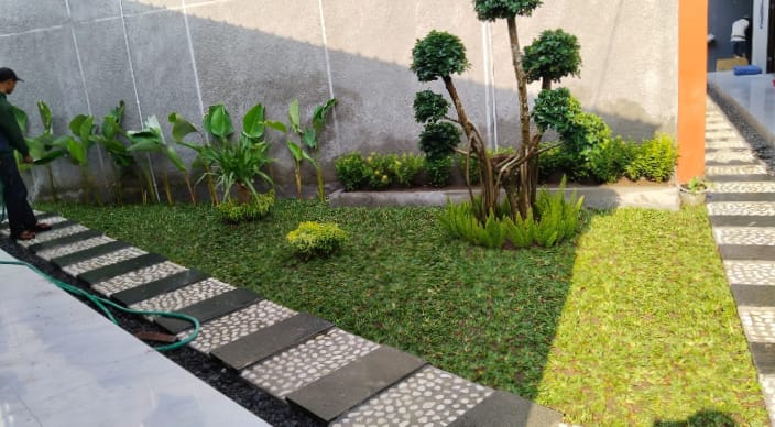 pembuatan taman minimalis depan rumah 