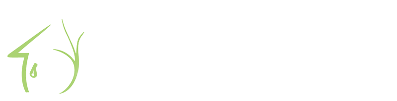 Jasa Pembuatan Taman Jogja