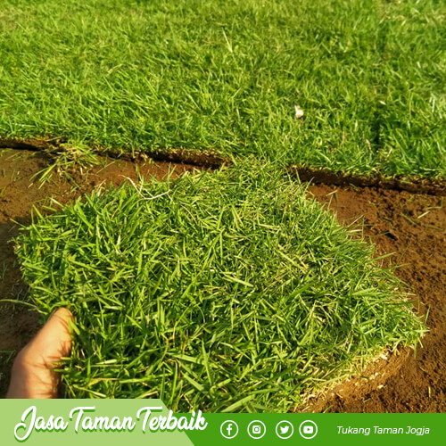 supriyadi garden produk 018