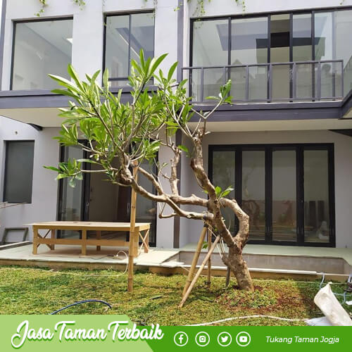 supriyadi garden produk 06